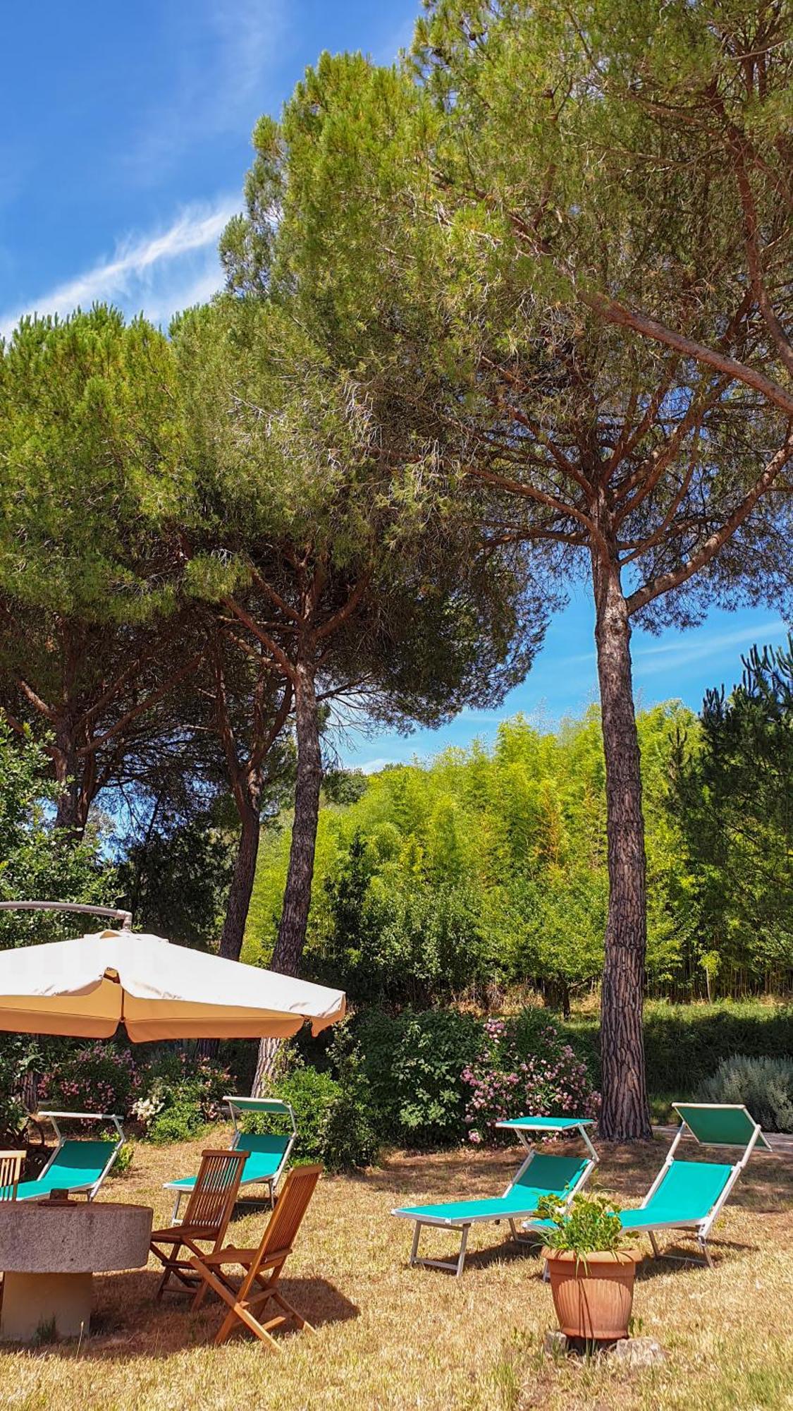 Maison d'hôtes Agriturismo Podere Le Tombe à Palaia Extérieur photo